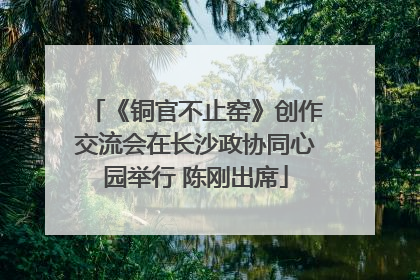 《铜官不止窑》创作交流会在长沙政协同心园举行 陈刚出席