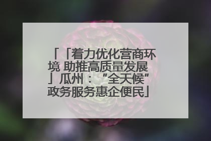 「着力优化营商环境 助推高质量发展」瓜州：“全天候”政务服务惠企便民