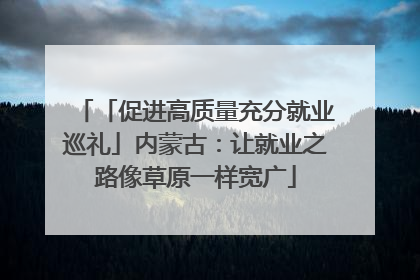 「促进高质量充分就业巡礼」内蒙古：让就业之路像草原一样宽广