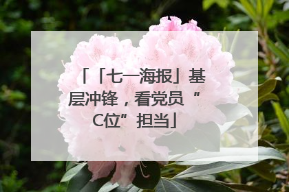 「七一海报」基层冲锋，看党员“C位”担当
