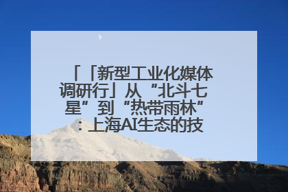 「新型工业化媒体调研行」从“北斗七星”到“热带雨林”：上海AI生态的技术商业共生密码
