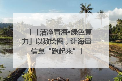 「洁净青海•绿色算力」以数绘图，让海量信息“跑起来”