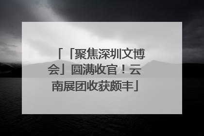 「聚焦深圳文博会」圆满收官！云南展团收获颇丰