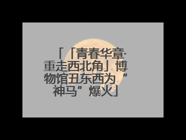 「青春华章·重走西北角」博物馆丑东西为“神马”爆火