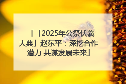 「2025年公祭伏羲大典」赵东平：深挖合作潜力 共谋发展未来