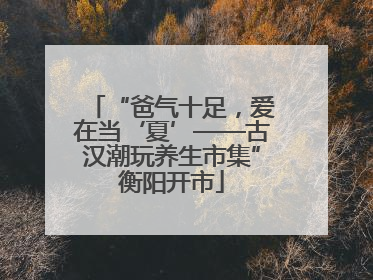 “爸气十足，爱在当‘夏’——古汉潮玩养生市集”衡阳开市