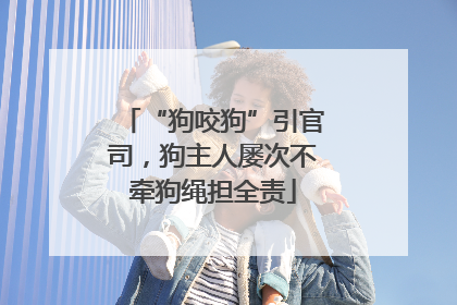 “狗咬狗”引官司，狗主人屡次不牵狗绳担全责
