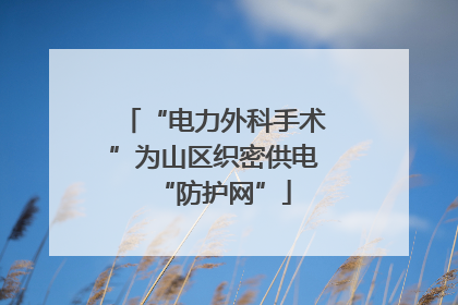 “电力外科手术”为山区织密供电“防护网”