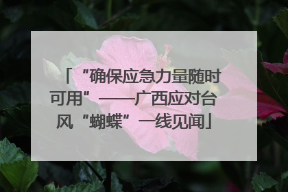 “确保应急力量随时可用”——广西应对台风“蝴蝶”一线见闻