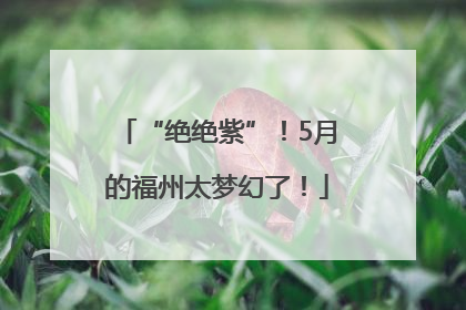 “绝绝紫”！5月的福州太梦幻了！