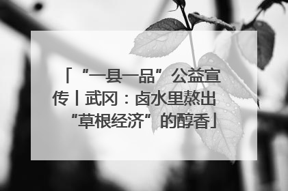 “一县一品”公益宣传丨武冈：卤水里熬出“草根经济”的醇香