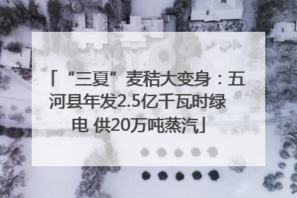 “三夏”麦秸大变身：五河县年发2.5亿千瓦时绿电 供20万吨蒸汽
