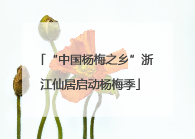 “中国杨梅之乡”浙江仙居启动杨梅季