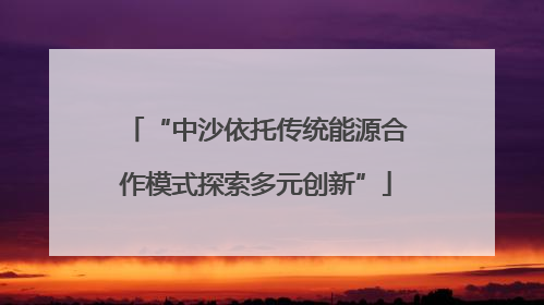 “中沙依托传统能源合作模式探索多元创新”