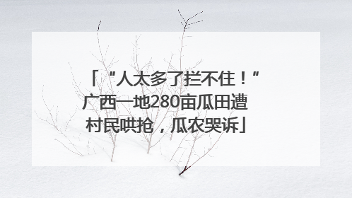“人太多了拦不住！”广西一地280亩瓜田遭村民哄抢，瓜农哭诉