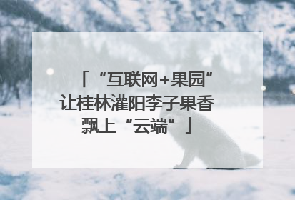 “互联网+果园”让桂林灌阳李子果香飘上“云端”