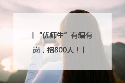 “优师生”有编有岗，招800人！