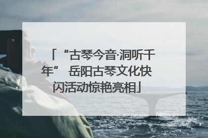 “古琴今音·洞听千年” 岳阳古琴文化快闪活动惊艳亮相