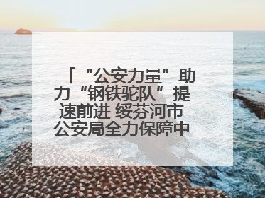 “公安力量”助力“钢铁驼队”提速前进 绥芬河市公安局全力保障中欧班列“东通道”绥芬河隧道贯通