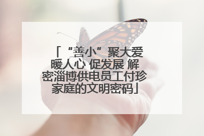“善小”聚大爱 暖人心 促发展 解密淄博供电员工付珍家庭的文明密码