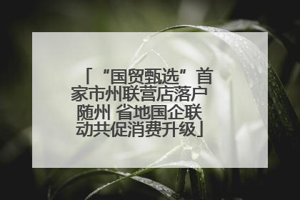 “国贸甄选”首家市州联营店落户随州 省地国企联动共促消费升级