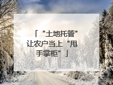 “土地托管”让农户当上“甩手掌柜”