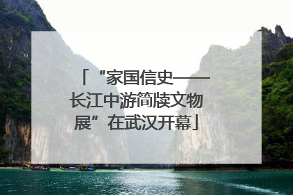 “家国信史——长江中游简牍文物展”在武汉开幕