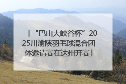 “巴山大峡谷杯”2025川渝陕羽毛球混合团体邀请赛在达州开赛