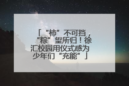 “柿”不可挡，“粽”望所归！徐汇校园用仪式感为少年们“充能”