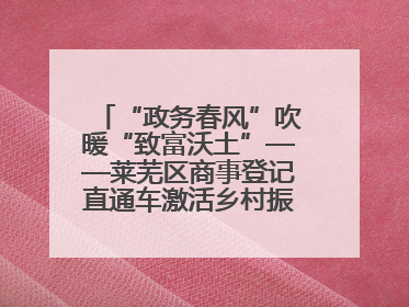 “政务春风”吹暖“致富沃土”——莱芜区商事登记直通车激活乡村振兴“一池春水”