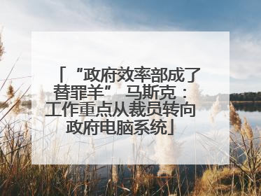 “政府效率部成了替罪羊” 马斯克：工作重点从裁员转向政府电脑系统