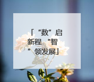 “数”启新程 “智”领发展