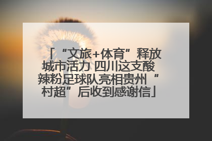 “文旅+体育”释放城市活力 四川这支酸辣粉足球队亮相贵州“村超”后收到感谢信