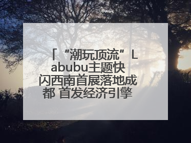 “潮玩顶流”Labubu主题快闪西南首展落地成都 首发经济引擎再添动能