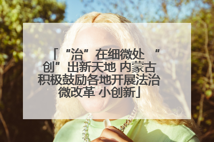 “治”在细微处 “创”出新天地 内蒙古积极鼓励各地开展法治微改革 小创新