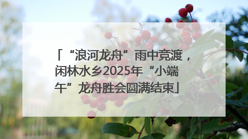 “浪河龙舟”雨中竞渡，闲林水乡2025年“小端午”龙舟胜会圆满结束