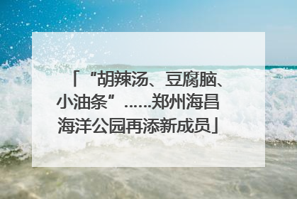 “胡辣汤、豆腐脑、小油条”……郑州海昌海洋公园再添新成员