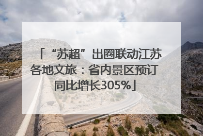 “苏超”出圈联动江苏各地文旅：省内景区预订同比增长305%
