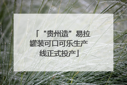 “贵州造”易拉罐装可口可乐生产线正式投产