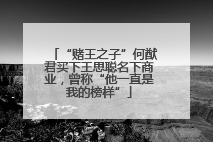 “赌王之子”何猷君买下王思聪名下商业，曾称“他一直是我的榜样”