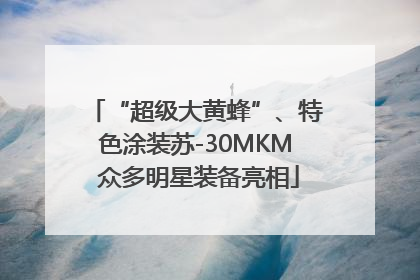 “超级大黄蜂”、特色涂装苏-30MKM 众多明星装备亮相