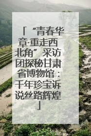 “青春华章·重走西北角”采访团探秘甘肃省博物馆：千年珍宝诉说丝路辉煌