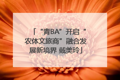 “青BA”开启“农体文旅商”融合发展新境界 戴美玲