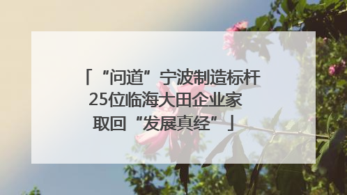 “问道”宁波制造标杆 25位临海大田企业家取回“发展真经”