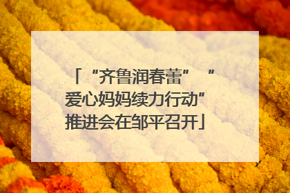 “齐鲁润春蕾”“爱心妈妈续力行动”推进会在邹平召开