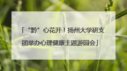 “黔”心花开！扬州大学研支团举办心理健康主题游园会