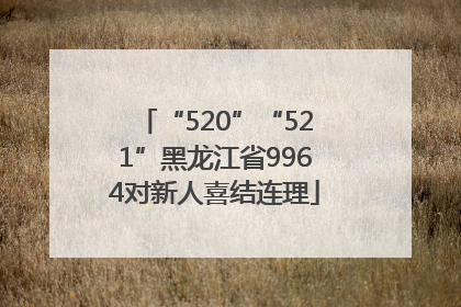 “520”“521”黑龙江省9964对新人喜结连理