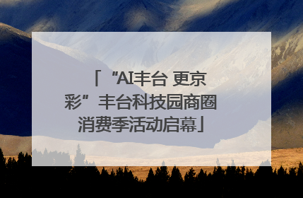 “AI丰台 更京彩”丰台科技园商圈消费季活动启幕
