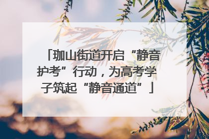 珈山街道开启“静音护考”行动，为高考学子筑起“静音通道”