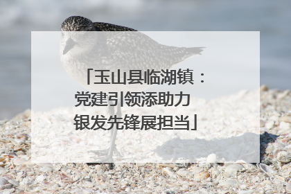 玉山县临湖镇：党建引领添助力 银发先锋展担当